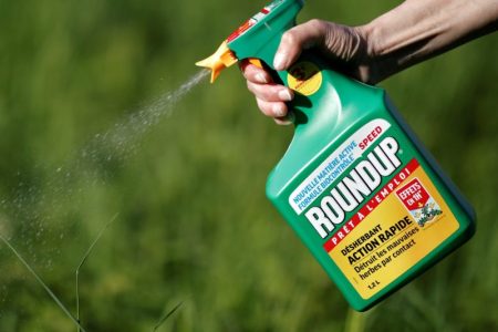 Roundup A woman uses a Monsanto's Roundup weedkiller spray without glyphosate in a garden
